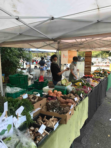 Vizcaya Village Farmers Market 